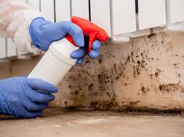 Best Asbestos and Lead Testing During Mold Inspection  in Lanai City, HI